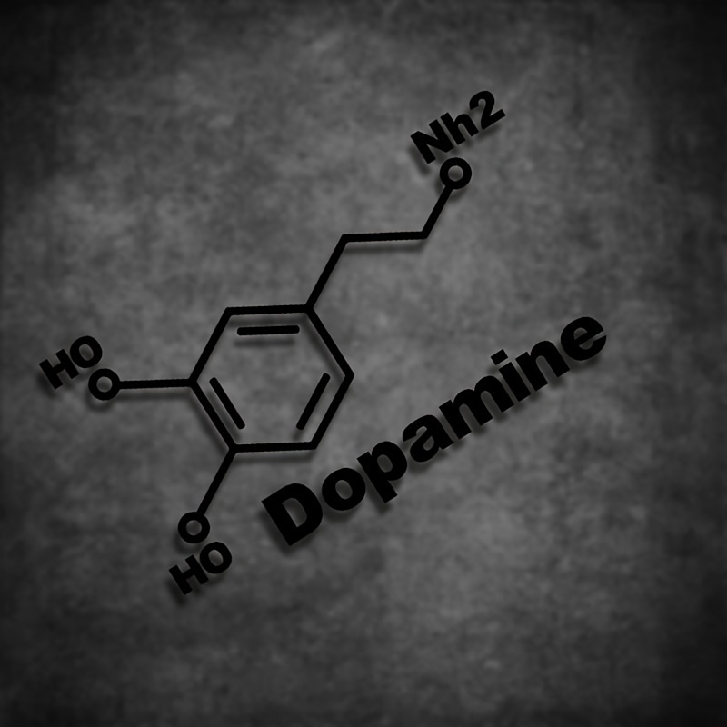 ملصق فينيل PET مقاوم للماء بتص - مراجعة Home Decor Dopamine وسعره